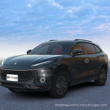 Высокая скорость и новый дизайн Dongfeng Forthing T5evo Auto Soup New Car с заливом